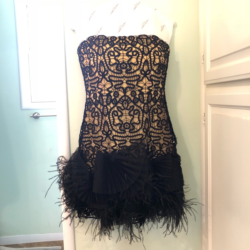 BCBG Runway Cocktail Dress with feather detail